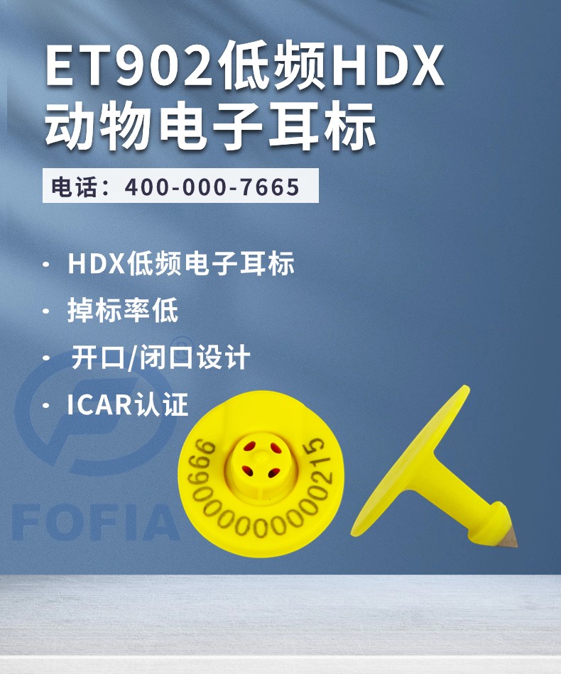 1709261650138311.jpg